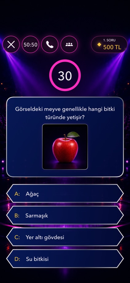 Kim Milyoner görsel destekli soru ekranı